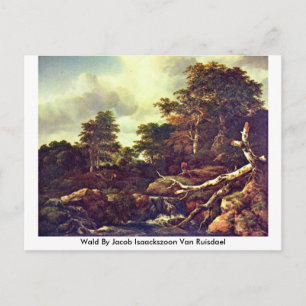 Carte Postale Wald Par Jacob Isaackszoon Van Ruisdael