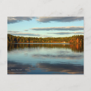 Carte postale : Walden Pond