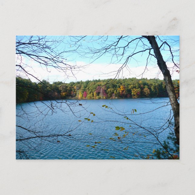 Carte Postale Walden Pond à l'automne (Devant)