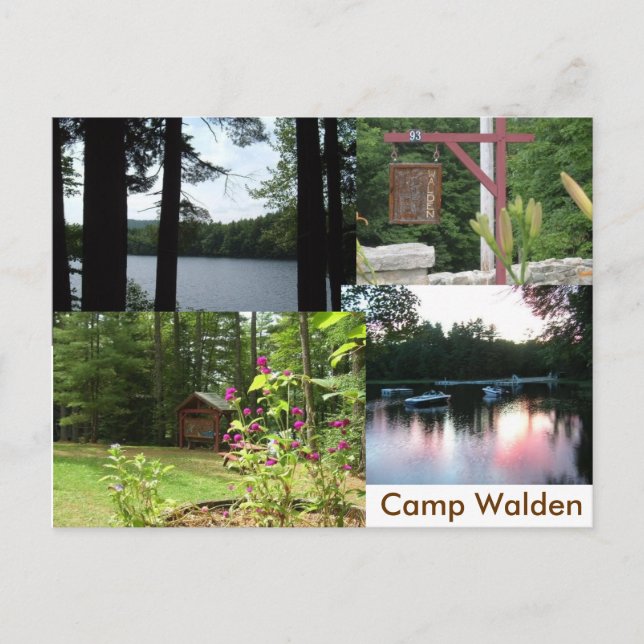 Carte Postale walden stationnaire (Devant)