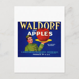 Carte Postale Waldorf Apples