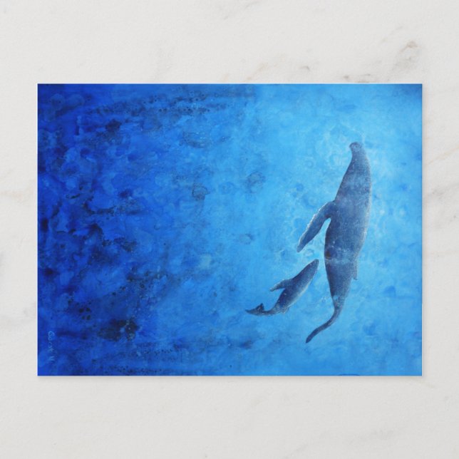 Carte Postale Wale (Devant)