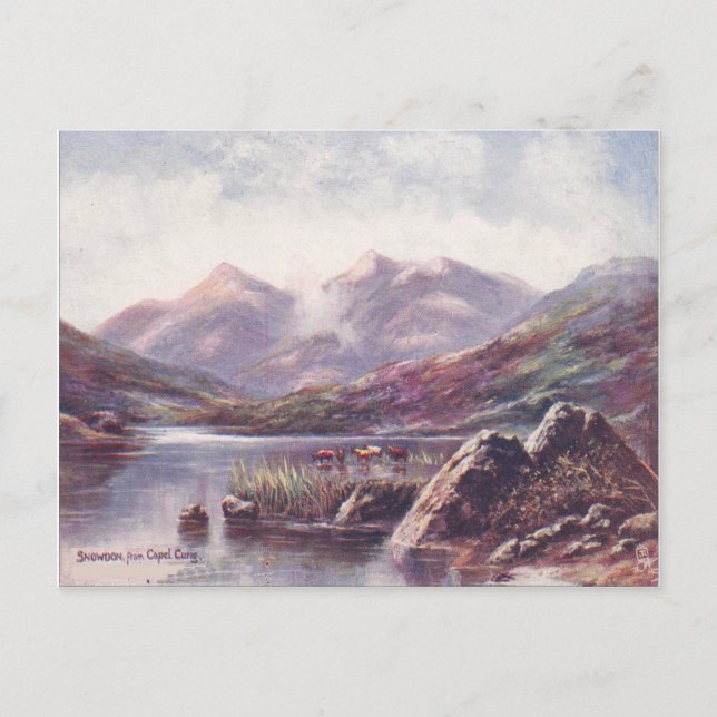 Carte Postale Wales, Snowdon de Capel Cyrig (Devant)