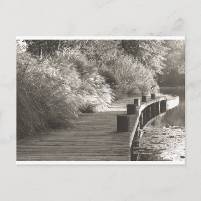 Carte Postale walkway.jpg (Devant)
