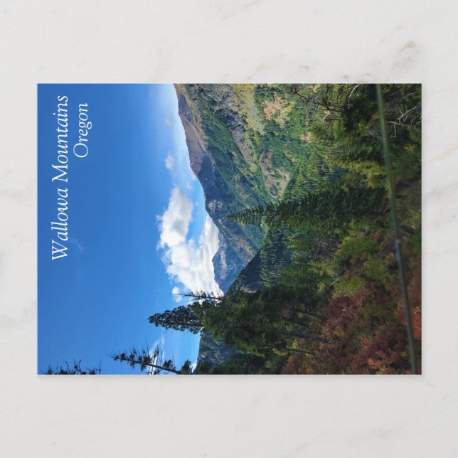 Carte Postale Wallowa mountains (Devant)