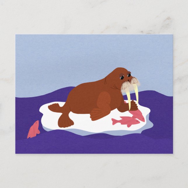 Carte Postale Walrus sur Iceberg avec Poisson (Devant)