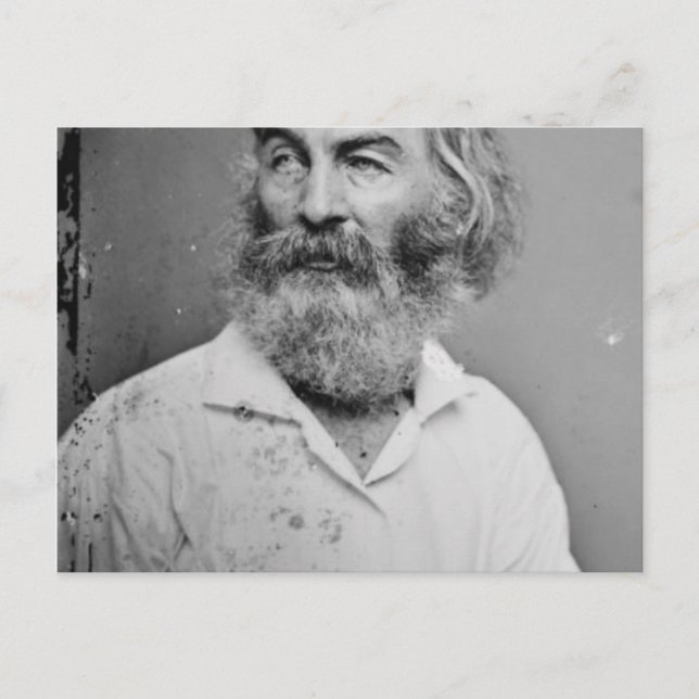 Carte Postale Walt Whitman (Devant)