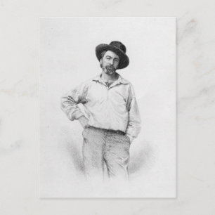 Carte Postale Walt Whitman, frontispece aux "Feuilles de