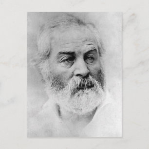 Carte Postale Walt Whitman Guerre civile Années 44 ans