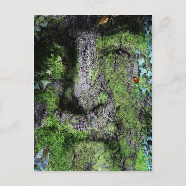 Carte Postale "Walt Whitman : L'homme vert" (Devant)