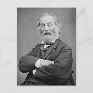 Carte Postale Walt Whitman Siège Portrait Photographie Âge 47