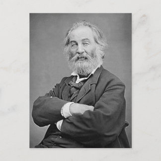 Carte Postale Walt Whitman Siège Portrait Photographie Âge 47