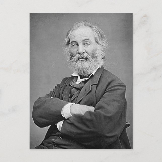 Carte Postale Walt Whitman Siège Portrait Photographie Âge 47 (Devant)