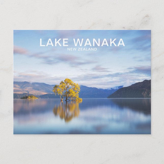 Carte postale Wanaka Tree Nouvelle-Zélande (Devant)