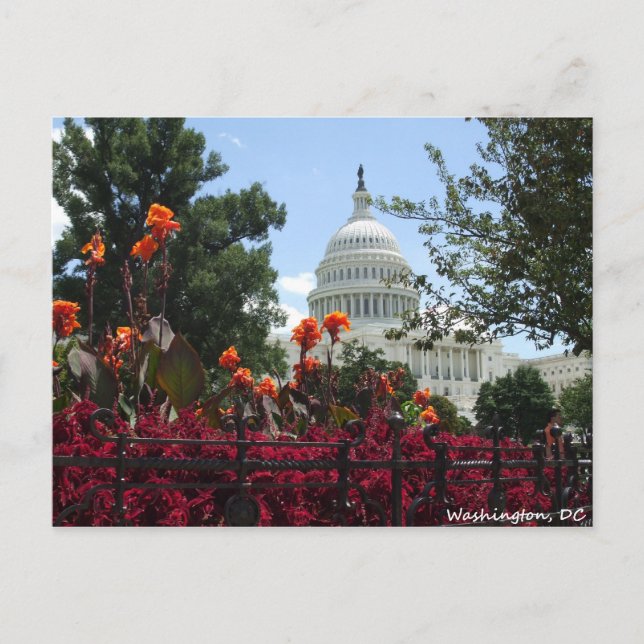 Carte Postale washington (Devant)