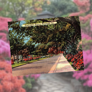 Carte Postale Washington Avenue Savannah GA historique