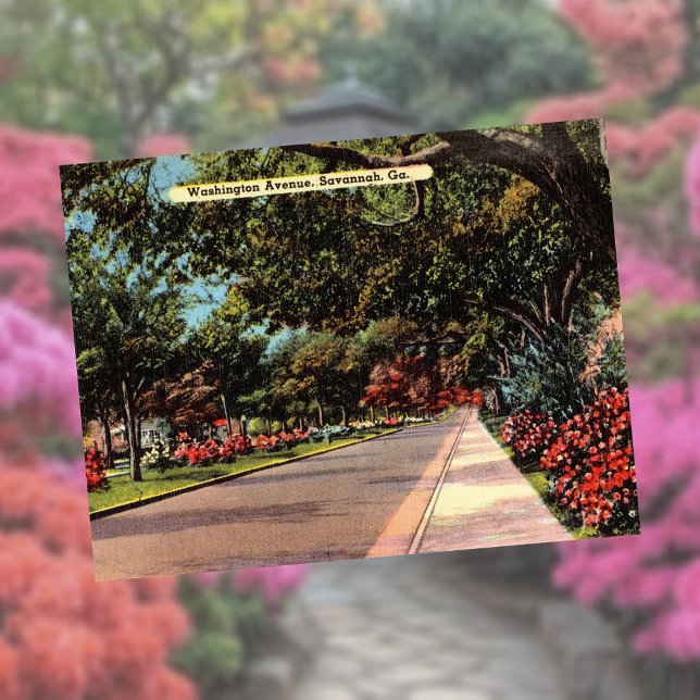 Carte Postale Washington Avenue Savannah GA historique (Créateur téléchargé)