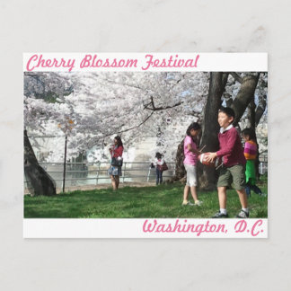 Carte postale Washington, D.C. Cherry Blossom