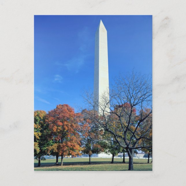 Carte Postale WASHINGTON, D.C. USA. Washington Monument rises (Devant)