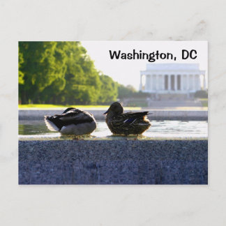 Carte Postale Washington, DC : Des canards au mémorial 2ÈME GUER