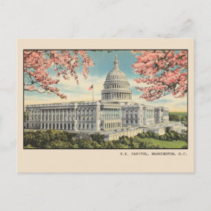Carte postale Washington DC USA Capitol Cherry Blo