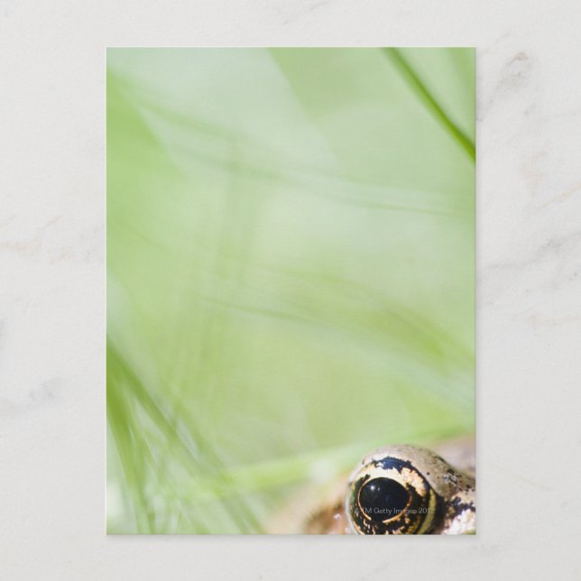 Carte Postale Washington, États-Unis (Devant)