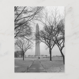 Carte Postale Washington Monument