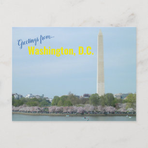 Carte postale - Washington Monument et Cherry Blos