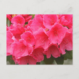 Carte Postale Washington, Seattle, Puget Sound, Discovery Park