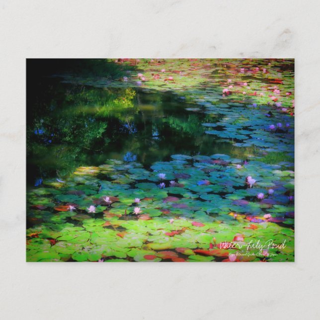 Carte Postale Water-Lily Pond ：Postcard (Devant)