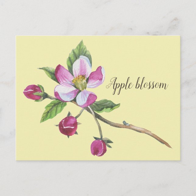 Carte Postale Watercolor Apple Blossom Botanical (Devant)