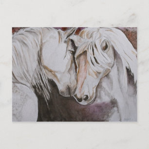 Carte Postale Watercolor Horse Postcard-Peach