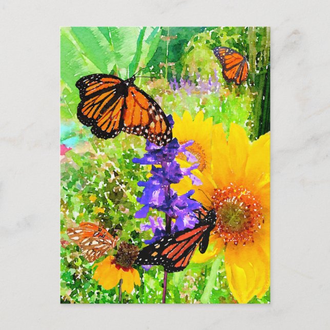 Carte Postale Watercolor Monarch Butterfly Jardin de tournesol (Devant)
