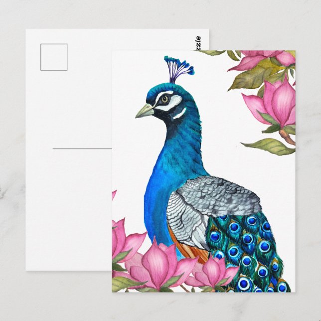 Carte Postale Watercolor peacock (Devant / Derrière)