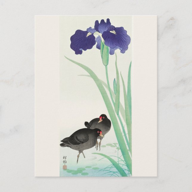 Carte Postale Waterhoots et Iris Peinture de Ohara Koson (Devant)