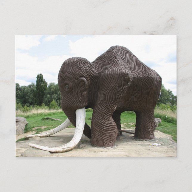 Carte postale Watermead Country Park (Devant)