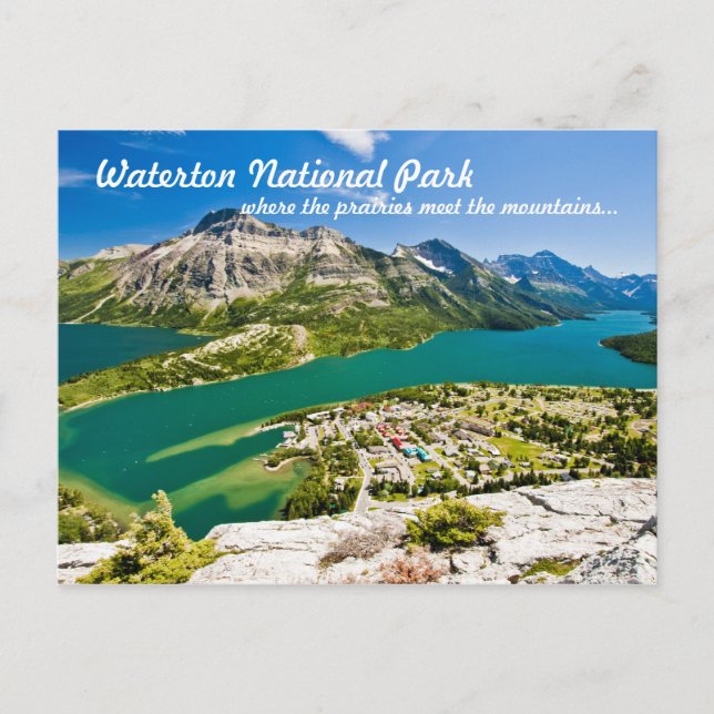 Carte Postale Waterton National Peace Park Postcard (Devant)