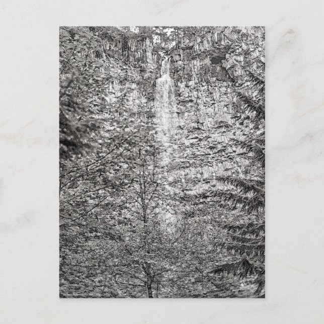 Carte Postale Watson Falls (Devant)