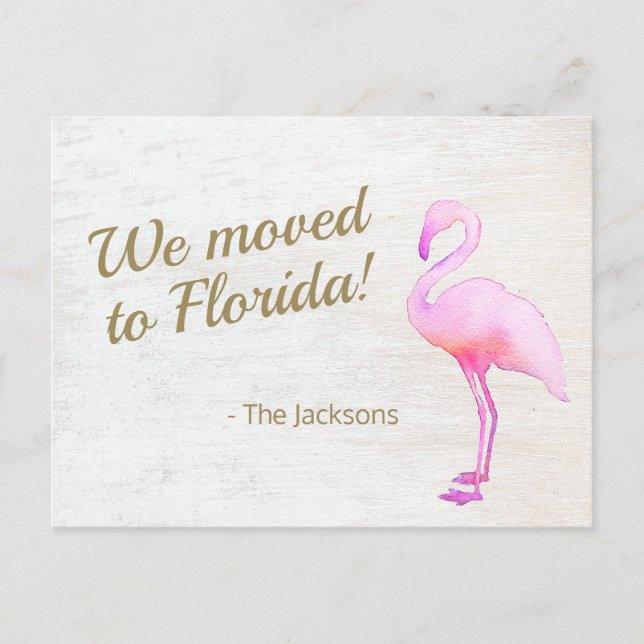 Carte Postale We Moved To Florida Flamingo Postcard (Devant)