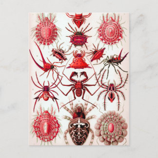 Carte postale Web Crawlers