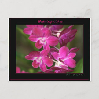 Carte Postale Wedding one