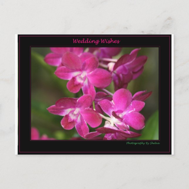 Carte Postale Wedding one (Devant)