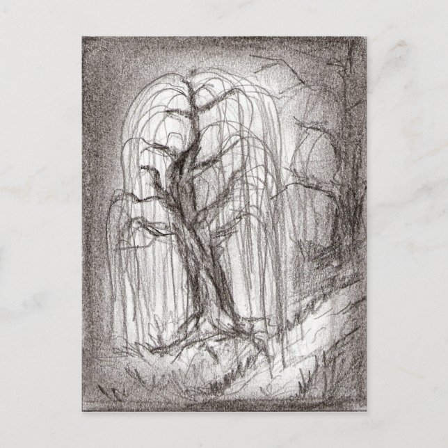 Carte Postale Weeping Willow (Devant)