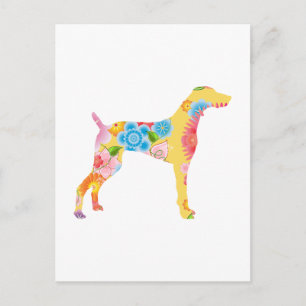 Carte Postale Weimaraner