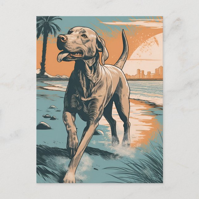 Carte Postale Weimaraner à la plage (Devant)