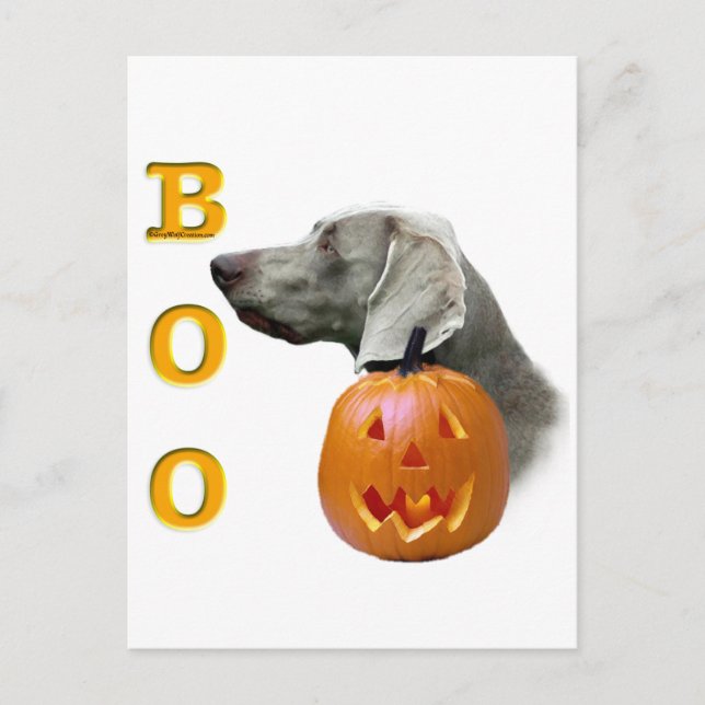 Carte Postale Weimaraner Boo (Devant)