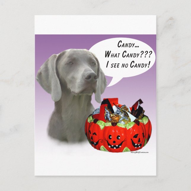 Carte Postale Weimaraner Halloween Candy (Devant)
