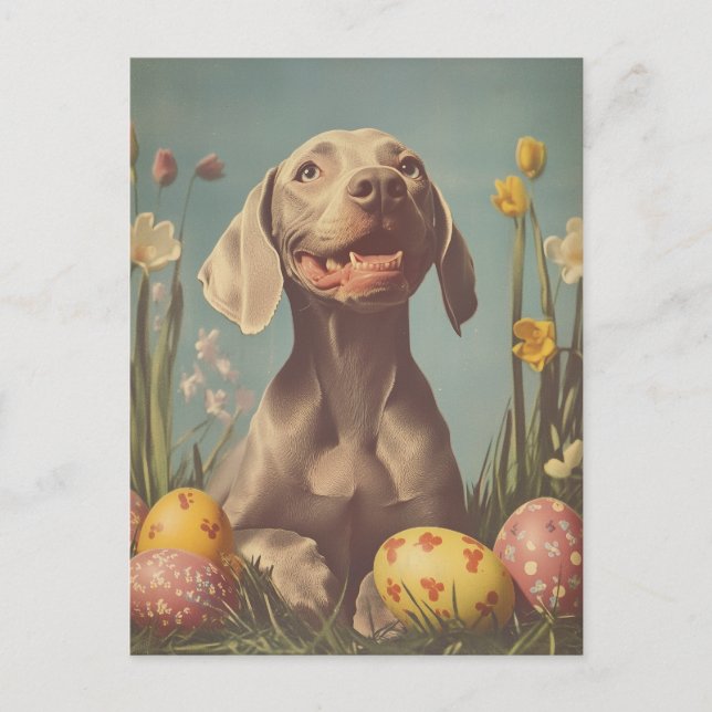 Carte Postale Weimaraner Pâques Vintages (Devant)