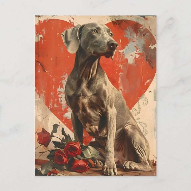 Carte Postale Weimaraner Vintage Saint-Valentin (Devant)