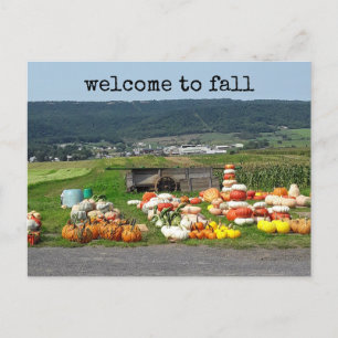Carte Postale welcome to fall pumpkin farm post card